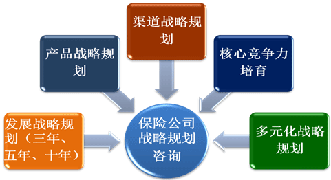 保险公司管理咨询