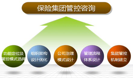 保险公司管理咨询