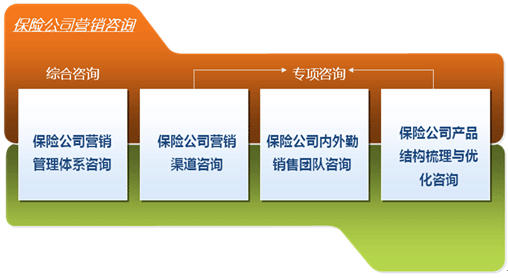 保险公司管理咨询