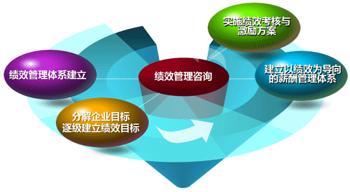 保险公司管理咨询